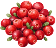 Brusinky