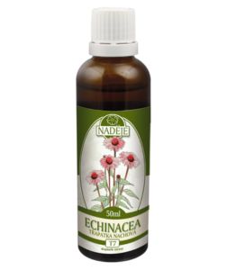 Naděje T7 Echinacea purpurea 50 ml