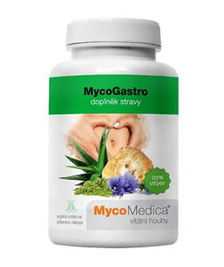 MycoMedica MycoGastro 90 g
