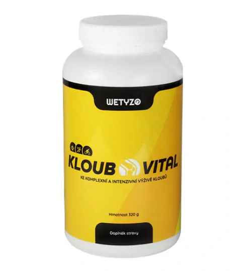 HCY Vitality KloubVital 320 g