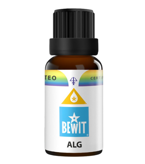 Bewit Alg