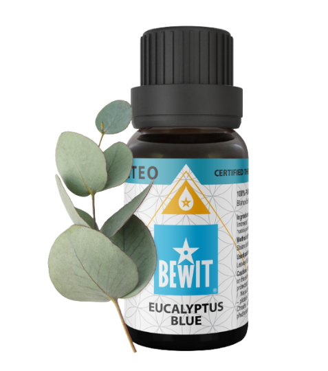 Bewit Eukalyptus Blue
