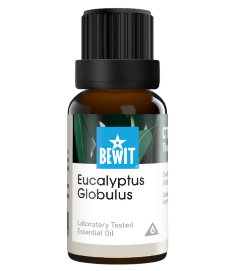 Bewit Eukalyptus Globulus