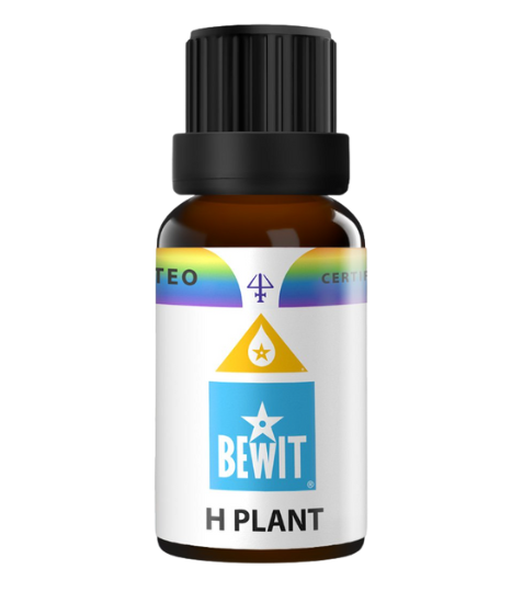 Bewit H Plant