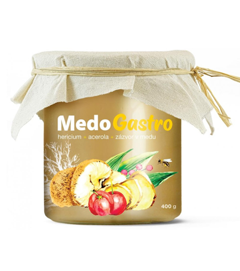 MycoMedica MedoGastro 400 g