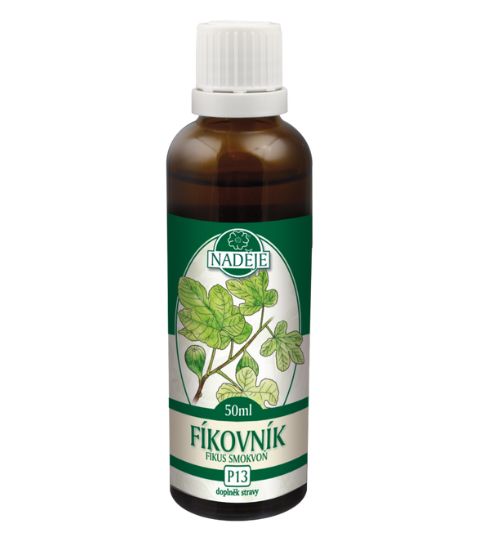 Naděje P13 Fíkovník 50 ml