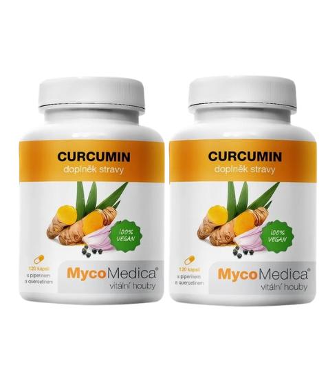 MycoMedica Curcumin 2x 120 cps.