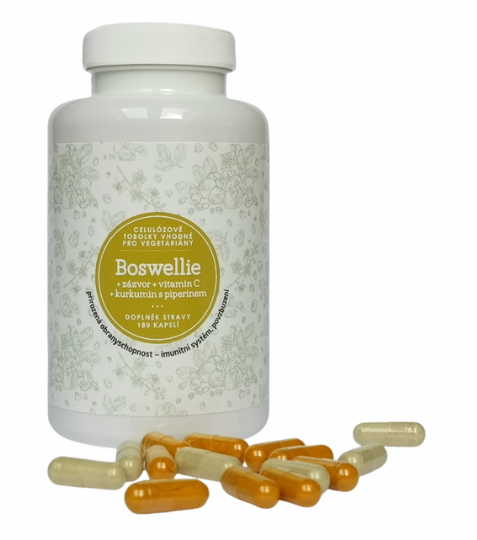 Ondřej Ullrich Boswellie s kurkuminem, zázvorem a vitamínem C 180 tbl.