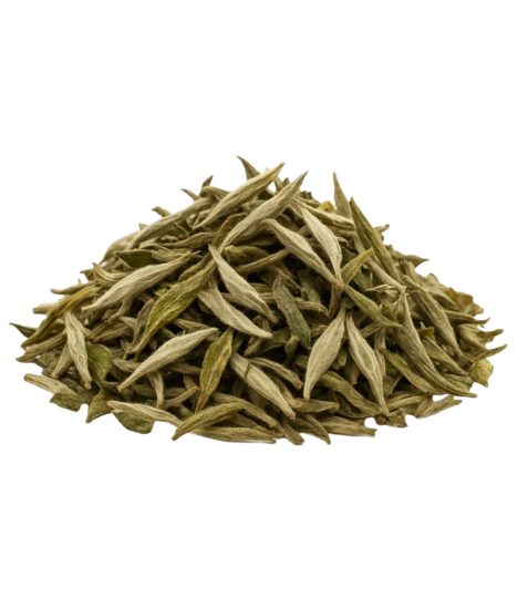 QuickTea Stříbrné perly – bílý čaj Fujian