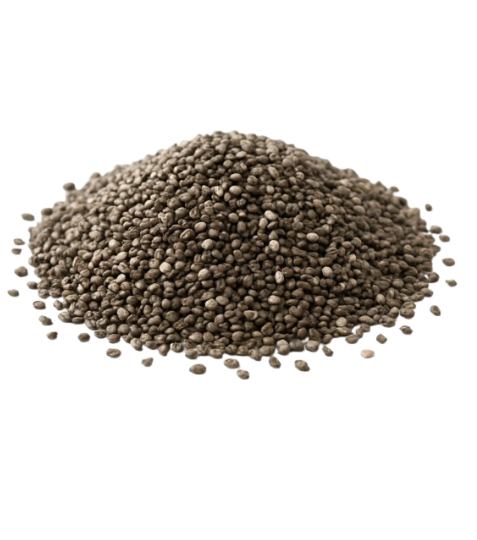 QuickTea Chia semínka - celá