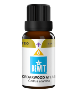 Bewit Cedr z atlasu 