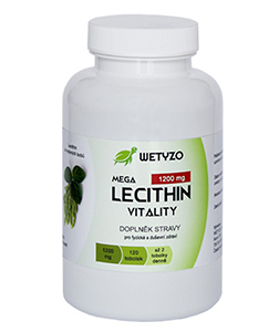 HCY Vitality Mega Lecithin 120 tbl.
