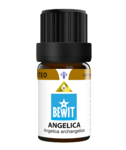 Bewit Andělika kořen 