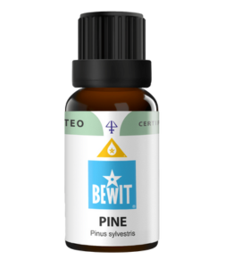 Bewit Borovice lesní