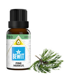 Bewit Borovice sumaterská 