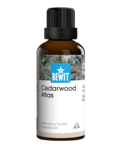 Bewit Cedr atlaský 