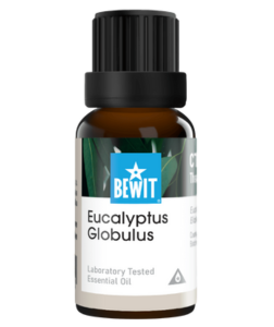 Bewit Eukalyptus Globulus 