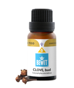 Bewit Hřebíček, pupen 