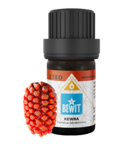 Bewit Kewra 5 ml 
