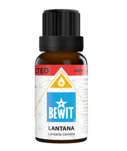 Bewit Libora měnivá 