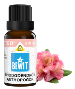 Bewit Pěnišník vousokvětý 