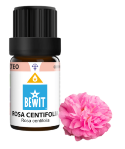 Bewit Růže stolistá v jojobě 5 ml 