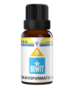 Bewit Transformation 