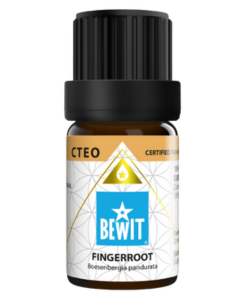 Bewit Zázvor čínský 5 ml 