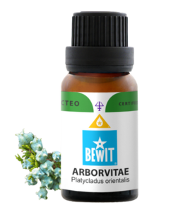 Bewit Zeravec (Arborvitae) 