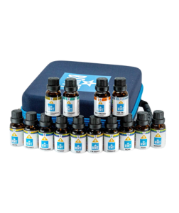 Bewit GO BEWIT! (Začni s Bewit!) 