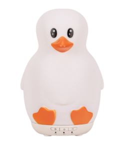 Bewit Aroma difuzér Dug 