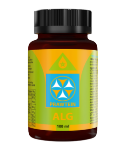Bewit Prawtein Alg 100 ml