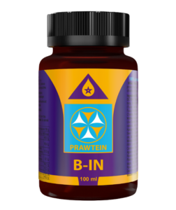 Bewit Prawtein B-In 100 ml