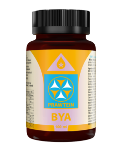 Bewit Prawtein Bya 100 ml