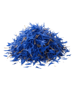 QuickTea Chrpa květ - řezaný