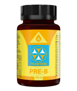 Bewit Prawtein Pre-B 100 ml 