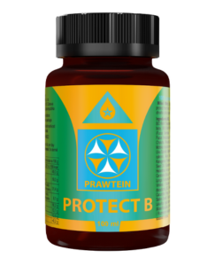 Bewit Prawtein Protect B 100 ml 