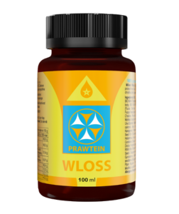 Bewit Prawtein Wloss 100 ml 