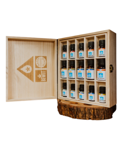 Bewit Dřevěný box s 30 otvory pro 5 ml lahvičky