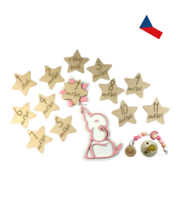 JH WoodArt Dřevěné milníkové kartičky pro miminka 13 ks