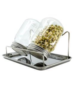 Bewit Sada pro klíčení - sklenice 2 ks