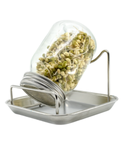 Bewit Sada pro klíčení - sklenice 1 ks