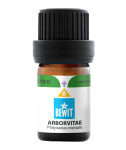 Bewit Túje (Arborvitae)