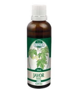 Naděje P17 Javor Babyka 50 ml