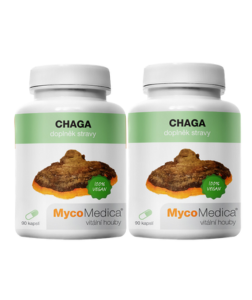 MycoMedica Chaga 2x 90 cps.