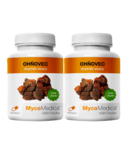 MycoMedica Ohňovec 2x 120 cps.