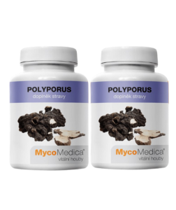 MycoMedica Polyporus 2x 90 cps.