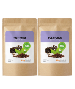 MycoMedica Polyporus prášek BIO 2x 100 g