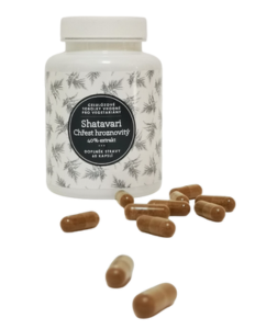 Ondřej Ullrich Shatavari - chřest hroznovitý 60 tbl.