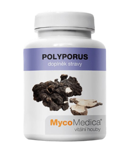 MycoMedica Polyporus 90 cps.